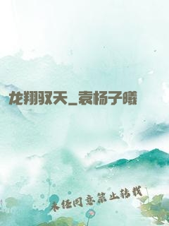 龙翔驭天