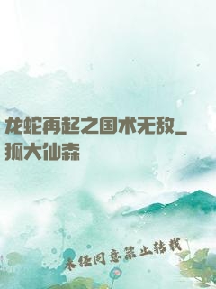 龙蛇再起之国术无敌