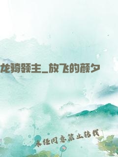 龙骑领主