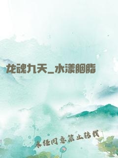 龙魂九天