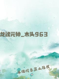 龙魂元帅