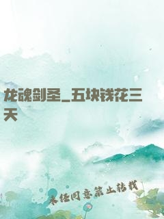 龙魂剑圣